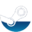 Steam